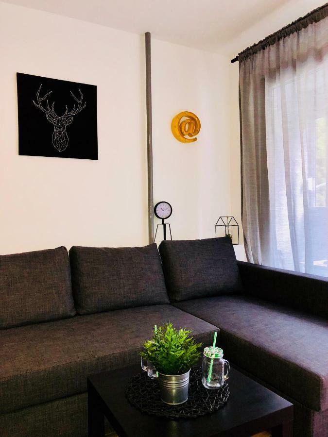 Split Right Place****Cozy And Completely New エクステリア 写真